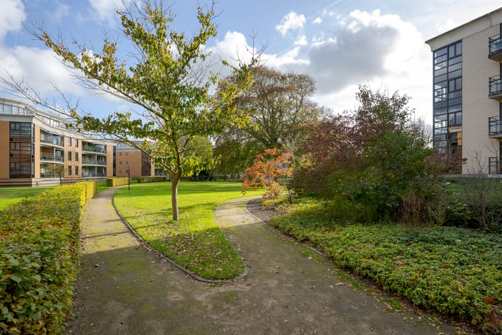 Photo 10 of Badhuisstraat 17