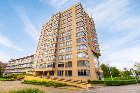 Loosduinse Uitleg 202