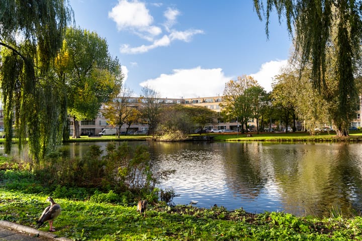 Photo 4 of Jaffadwarsstraat 46-D