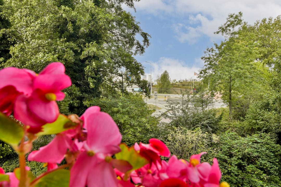 Foto 23 van Leerdamhof 11