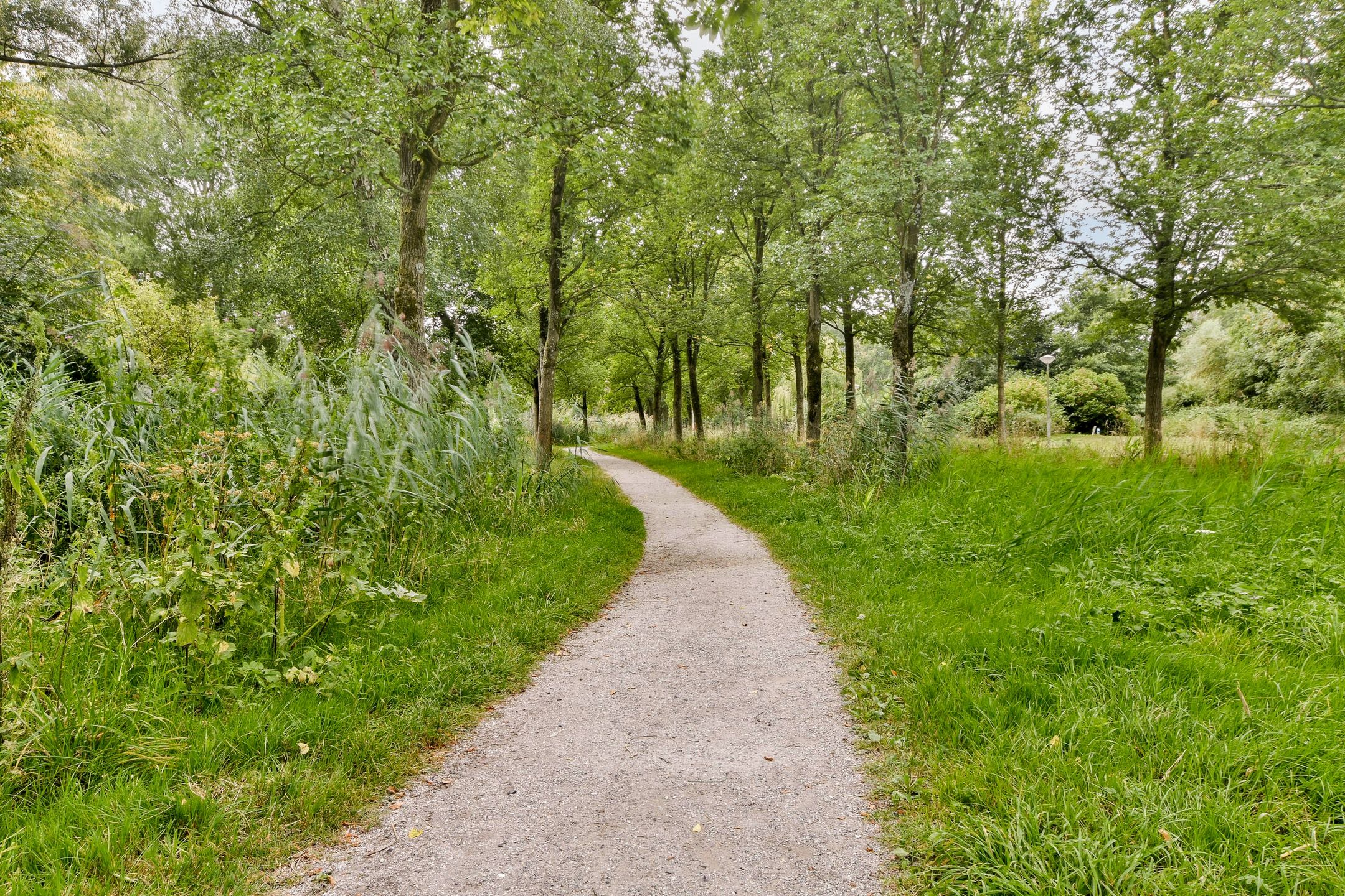 Foto 30 van Leerdamhof 11