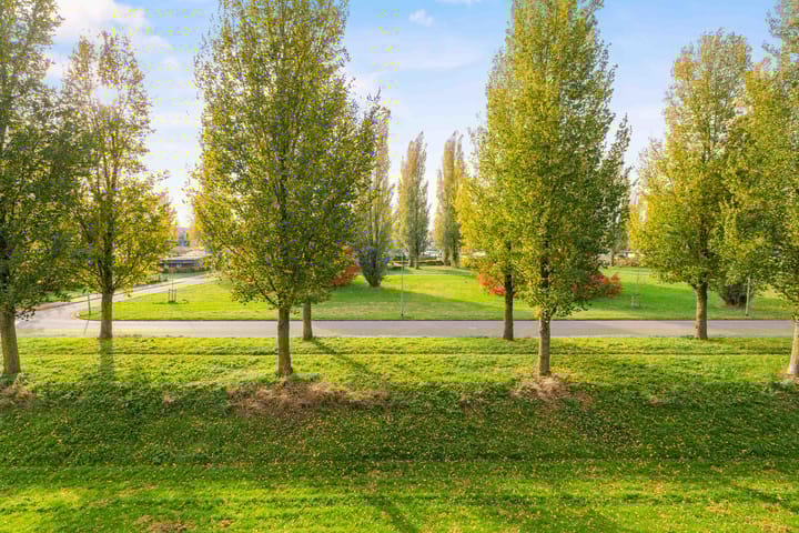 Foto 36 van Paul Kleestraat 66