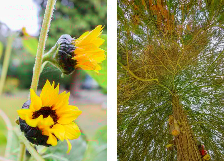 Foto 34 van Langezand 130