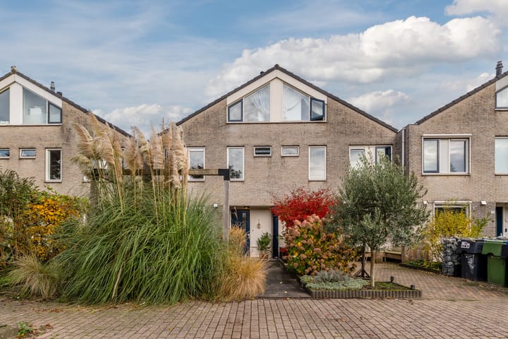 Foto 1 van Parelmoervlinder 13