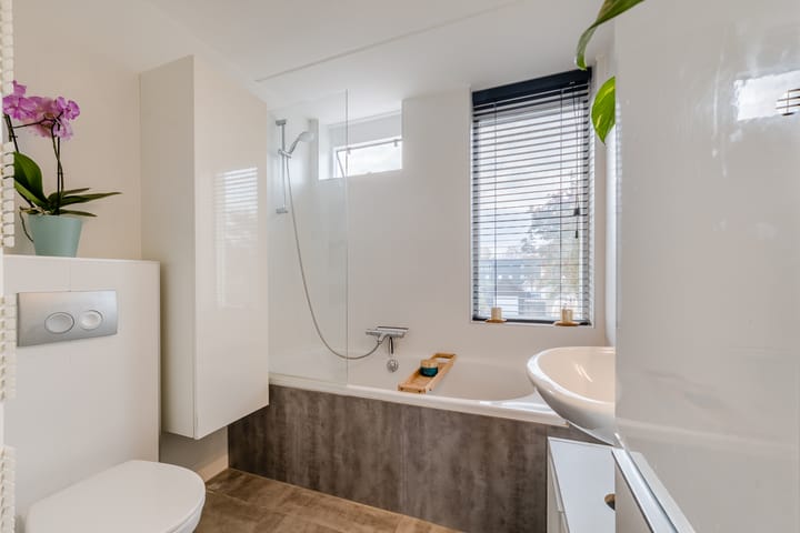 Foto 21 van Parelmoervlinder 13