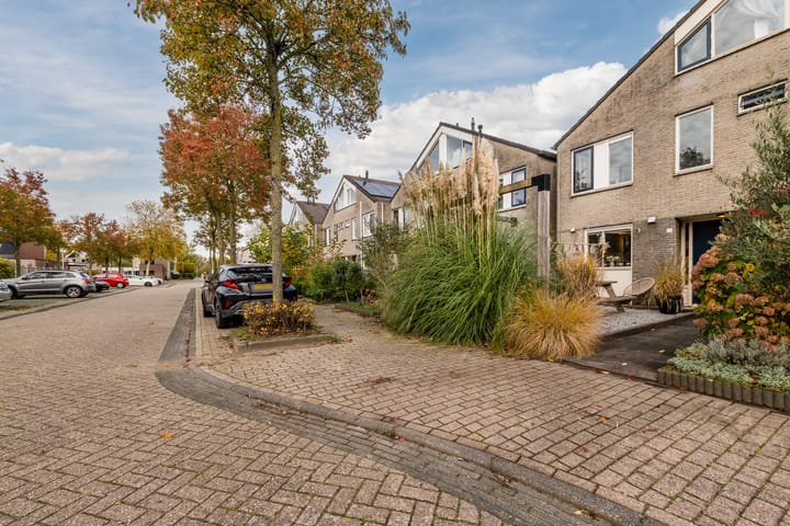 Foto 28 van Parelmoervlinder 13