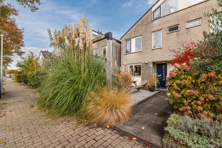 Foto 29 van Parelmoervlinder 13