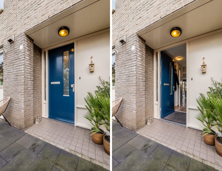 Foto 30 van Parelmoervlinder 13