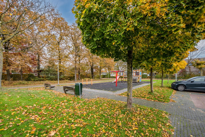 Foto 34 van Parelmoervlinder 13