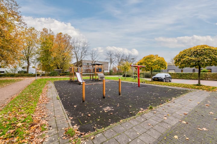 Foto 35 van Parelmoervlinder 13