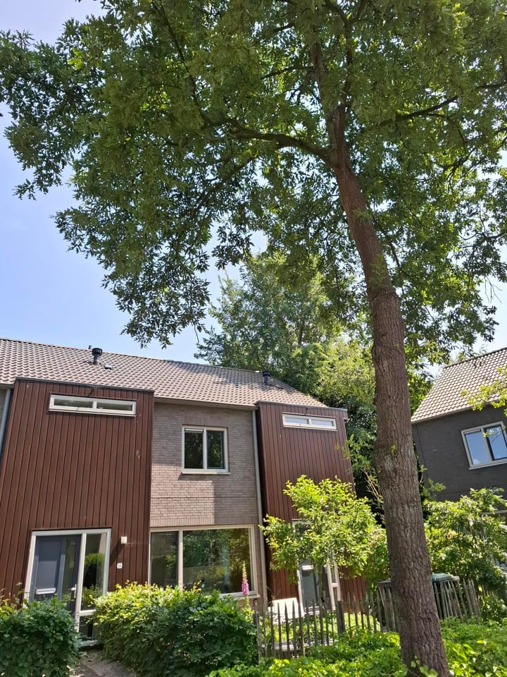 Photo 9 of Stierop 8