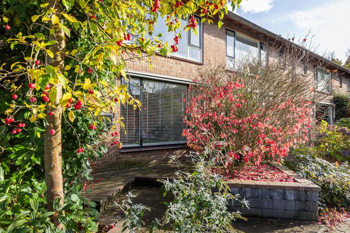 Photo 22 of Scarlattilaan 7