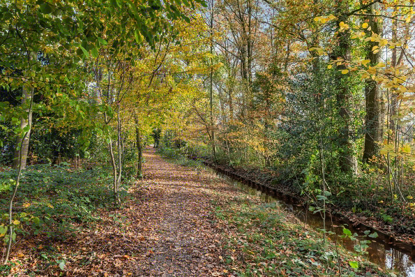 Foto 44 van Scarlattilaan 7