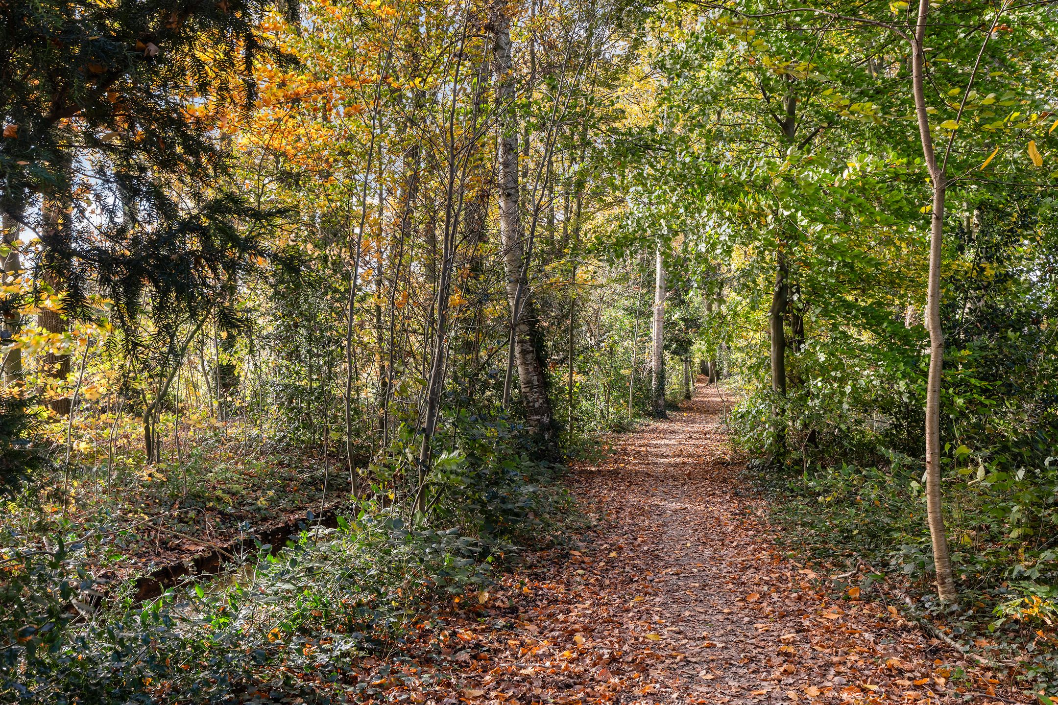 Foto 45 van Scarlattilaan 7