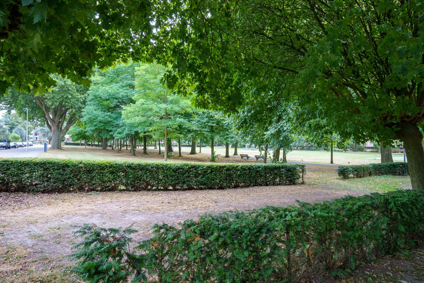 Foto 34 van Javastraat 9