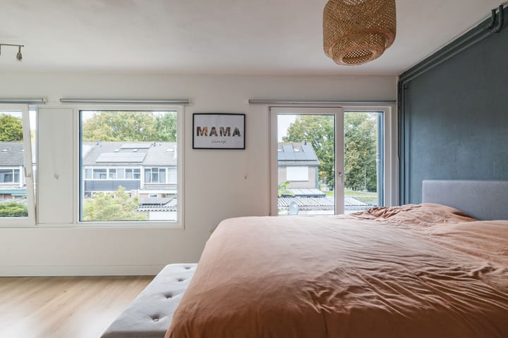 Foto 21 van Haydnstraat 176