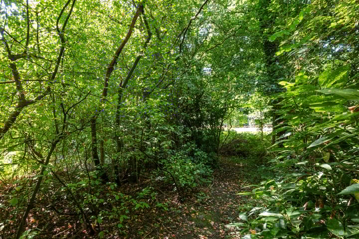 Photo 56 of Plantsoenlaan 29