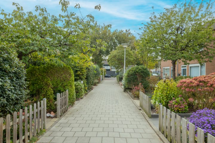 Photo 38 of Zoutmanstraat 11