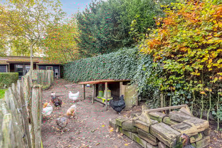 Photo 48 of Koppelstraat 2