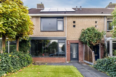 undefined main image