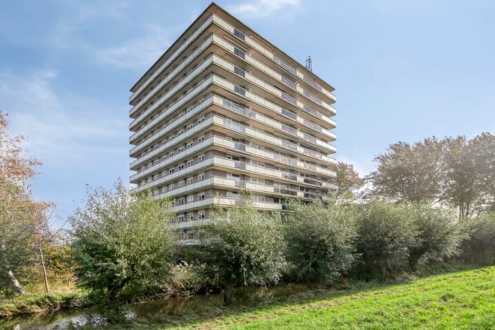 Suze Groenewegstraat 203