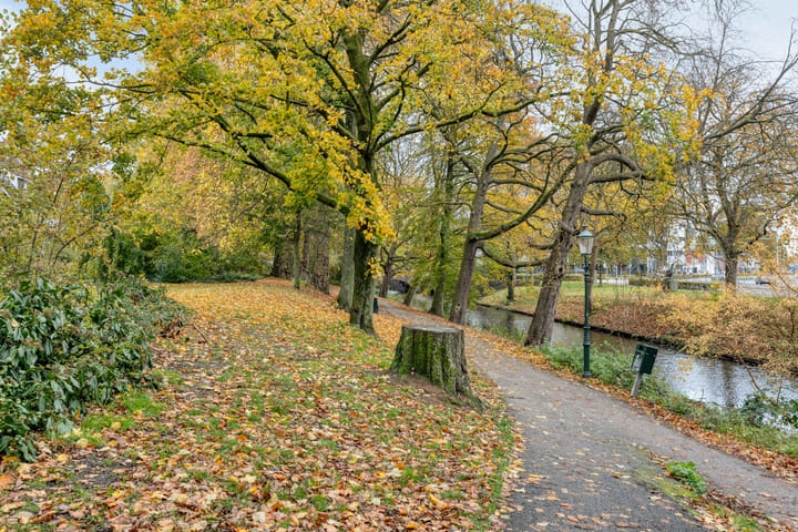 Photo 20 of Beestenmarkt 6