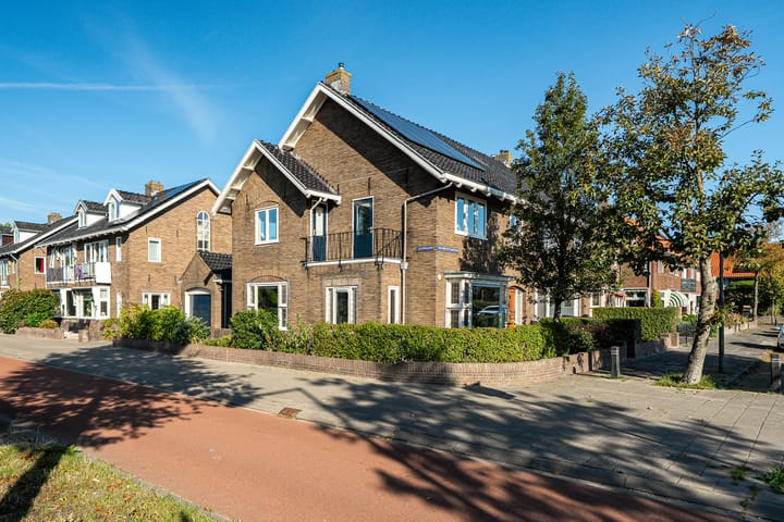 van Miereveltplantsoen 12 main image