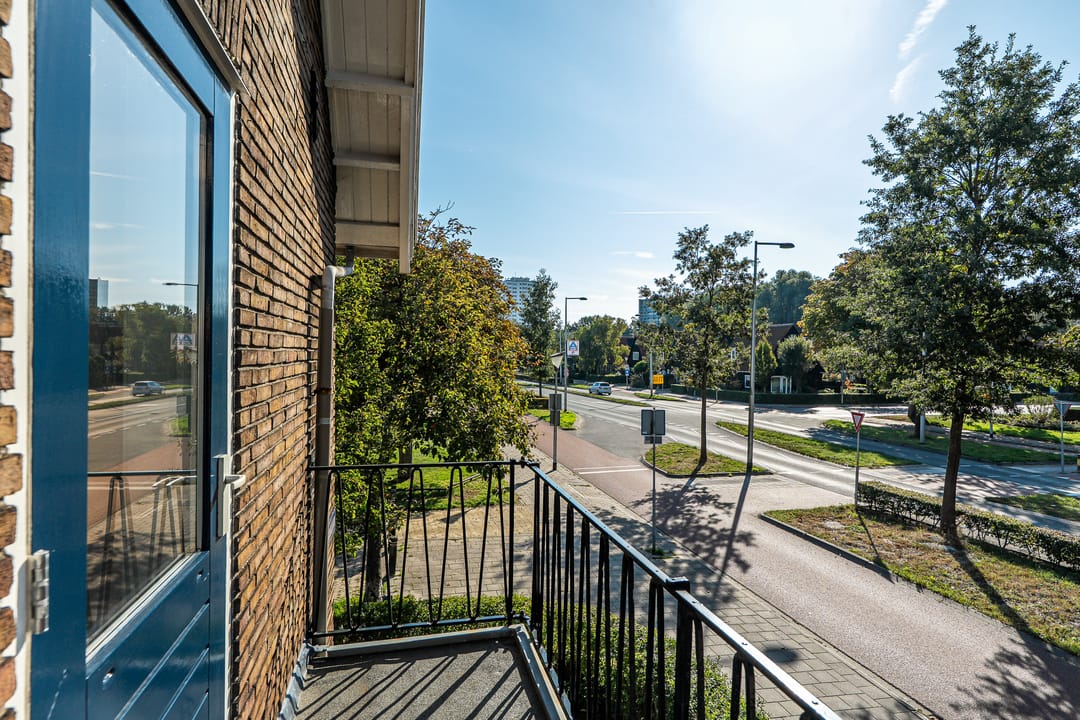 Foto 22 van van Miereveltplantsoen 12