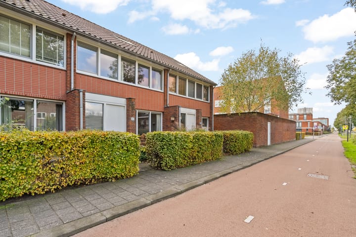 Foto 7 van Jan Wilspad 36