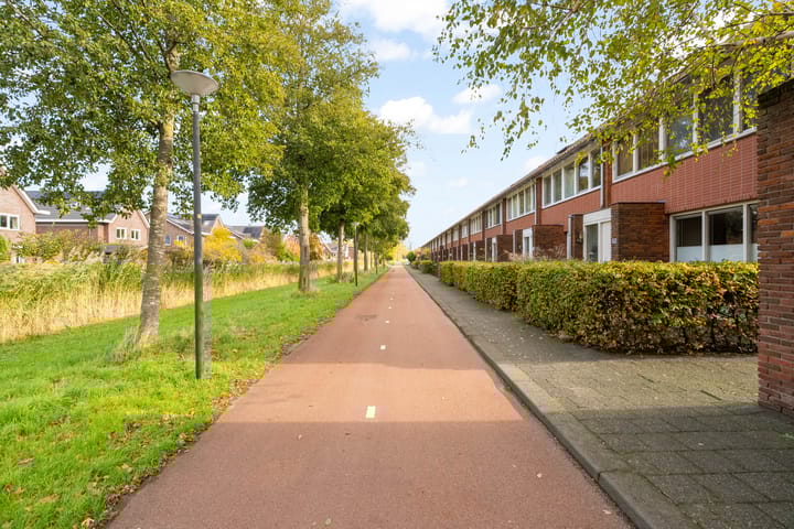 Foto 8 van Jan Wilspad 36