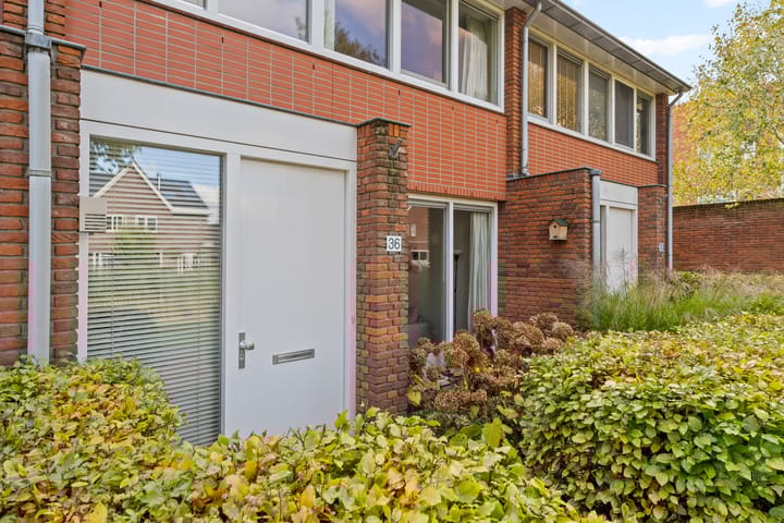 Foto 39 van Jan Wilspad 36