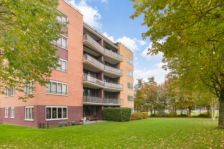 Photo 1 of Frans Hals 14