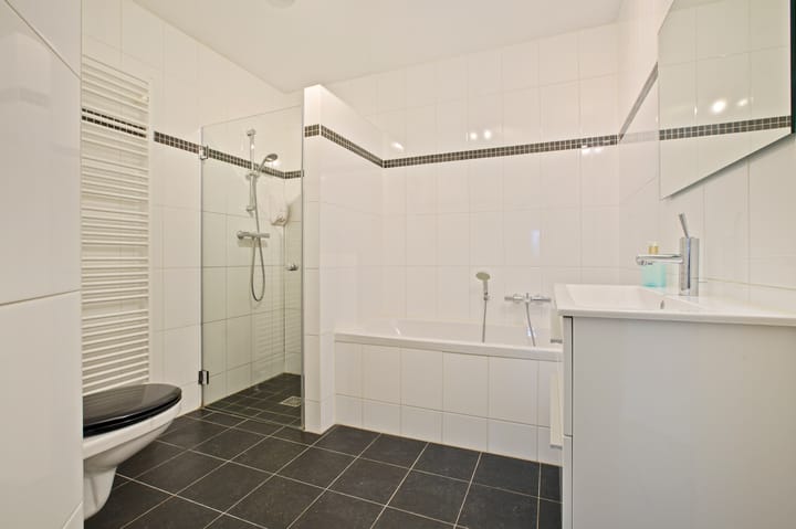 Photo 4 of Frans Hals 14