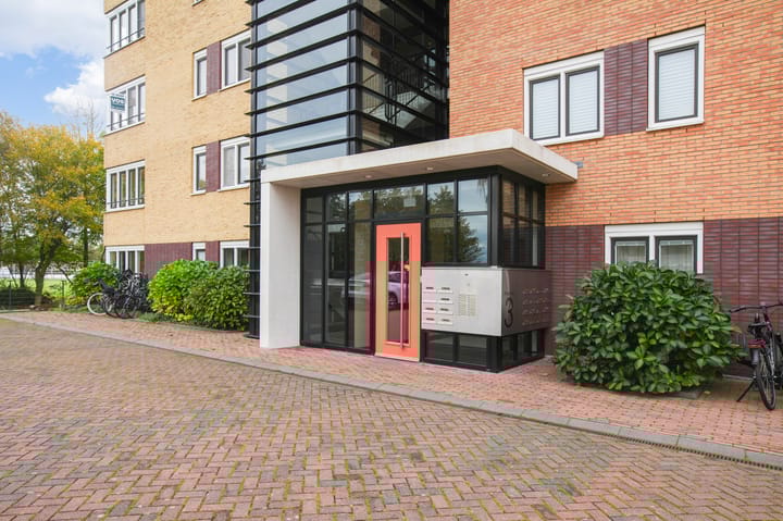 Photo 5 of Frans Hals 14