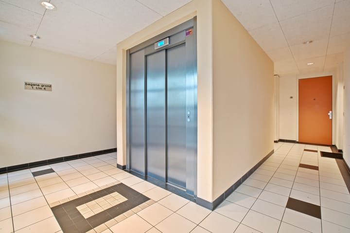 Photo 7 of Frans Hals 14