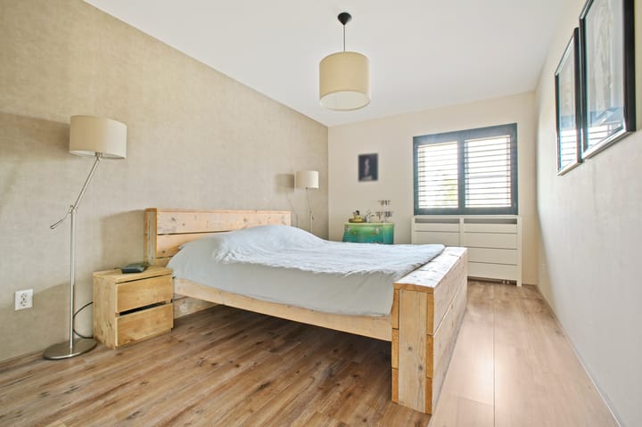 Photo 9 of Frans Hals 14