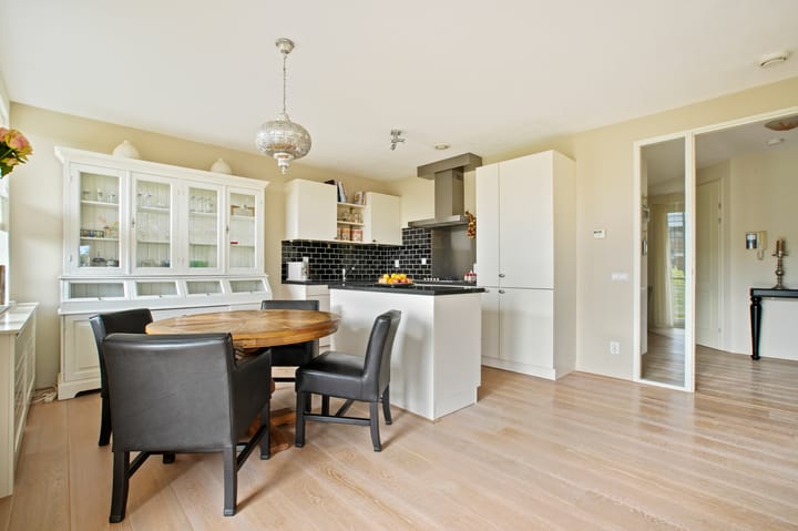 Photo 17 of Frans Hals 14