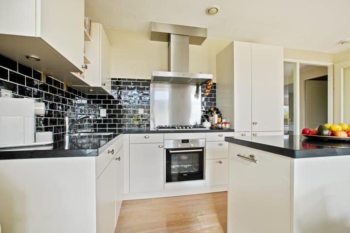 Photo 18 of Frans Hals 14