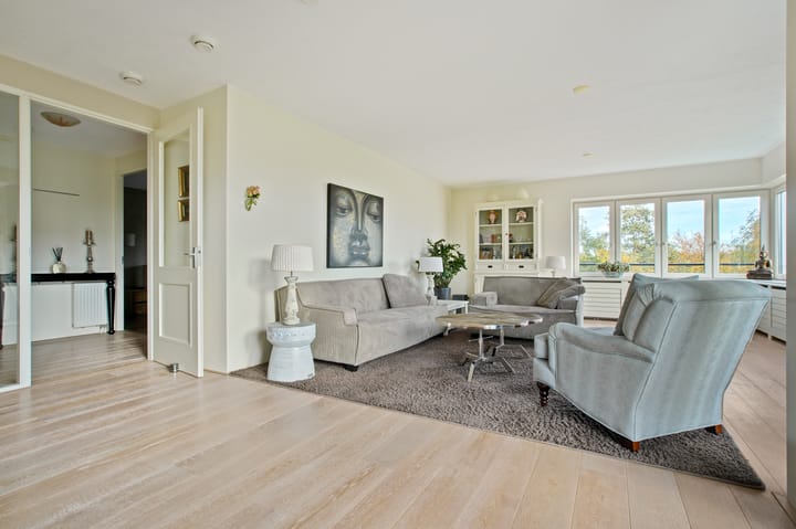 Photo 22 of Frans Hals 14