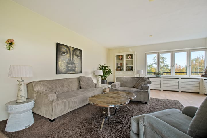 Photo 24 of Frans Hals 14