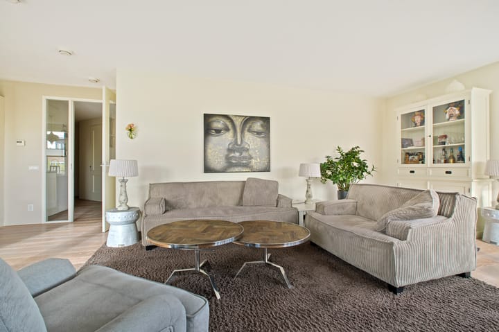 Photo 25 of Frans Hals 14