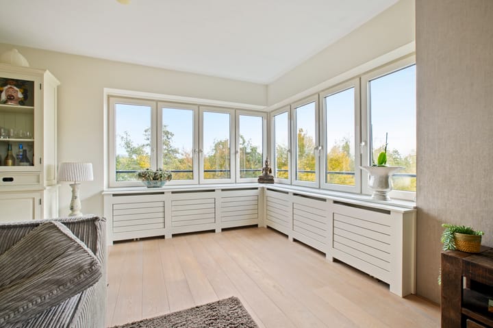 Photo 26 of Frans Hals 14