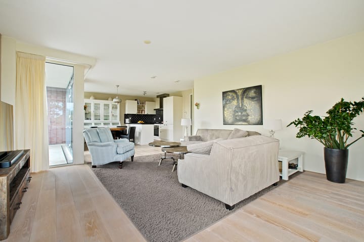 Photo 27 of Frans Hals 14