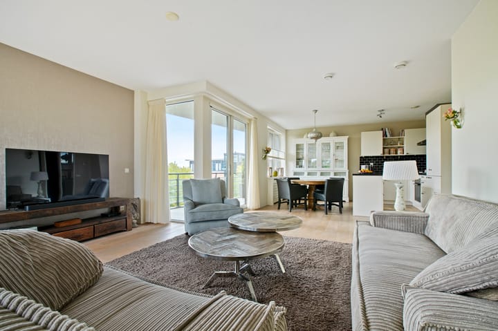 Photo 29 of Frans Hals 14