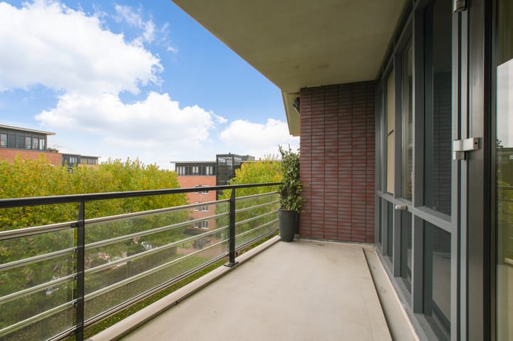 Photo 31 of Frans Hals 14