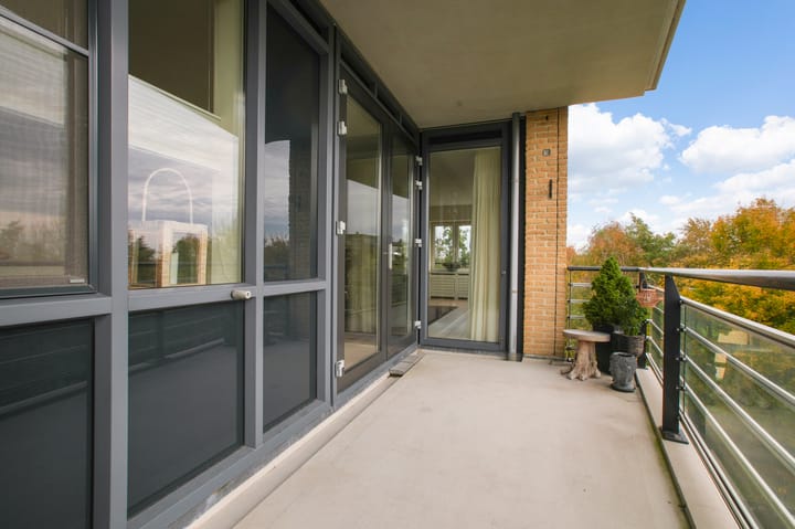 Photo 32 of Frans Hals 14