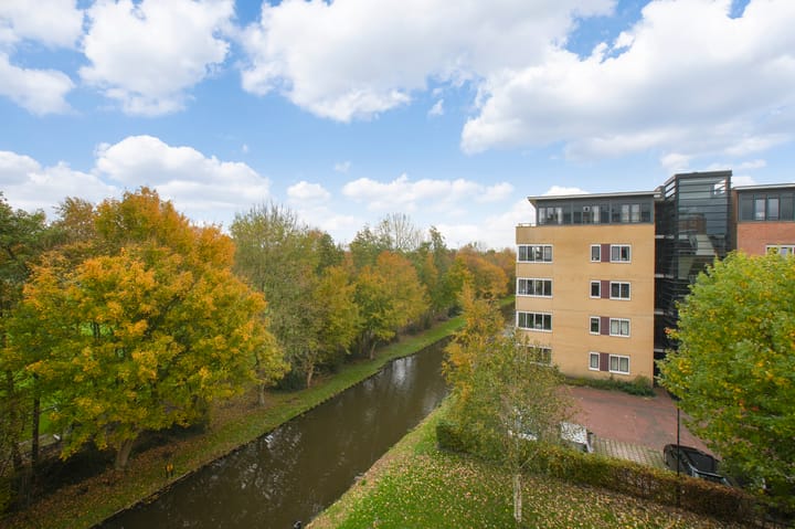 Photo 33 of Frans Hals 14