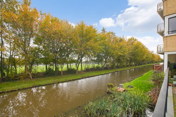 Photo 34 of Frans Hals 14