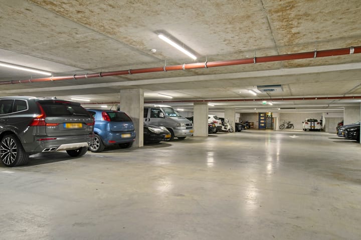 Photo 35 of Frans Hals 14