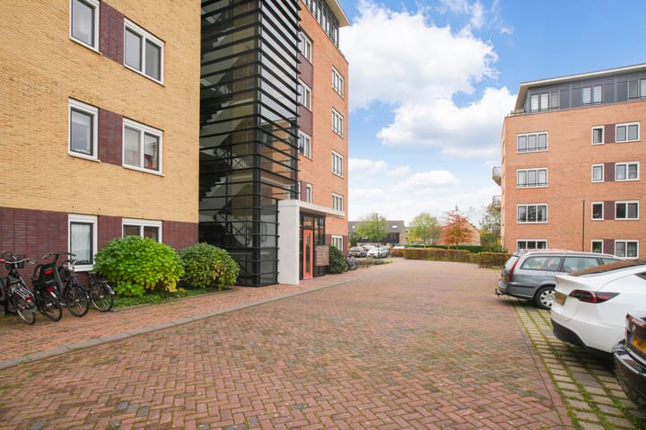 Photo 36 of Frans Hals 14